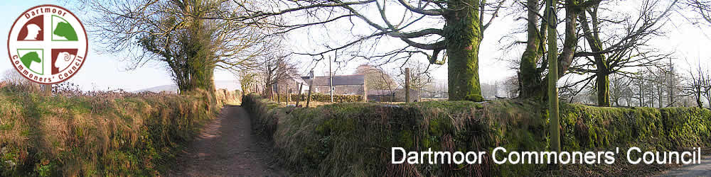 Willsworthy, Dartmoor Commoners' Council and logo